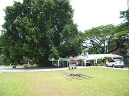 �X�E�P�@�i�΁j�@�A�}�������J���z�e�������̃J�I�\�[�C