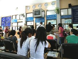 �X�E�Q�@�i���j�@�P�O���O�̕��i